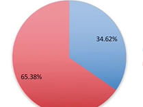 Pregnancy in Plastic Surgery Residents
