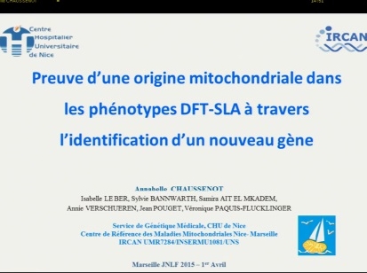 Preuve d'une origine mitochondriale pour les phénotypes SLA/DFT à travers l'identification d'un nouveau gène CHCHD1