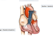 Principes d'hémodynamique en réanimation