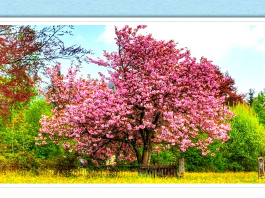 Printemps-été : pneumallergènes et aliments