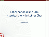 Prise en charge de la douleur en région Retours d’expériences Labellisation 2017 de la SDC du 41 Prise en charge de la douleur en région Retours d’expériences Labellisation 2017 de la SDC du 41