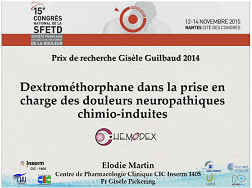 Prix de recherche Gisèle Guilbaud 2014