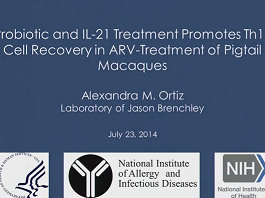 Les probiotiques et les traitements contre l'IL-21 induit la régénération des lymphocytes Th17 chez les macaques traités par des ARV