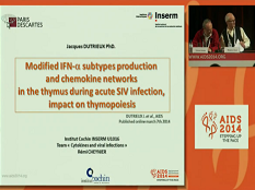 Production de sous-types d'interférons alpha modifiés et production de réseaux de chémokines dans le thymus