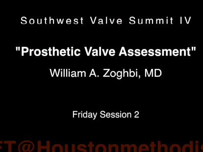 Prosthetic Valve Assessment