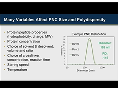 Protein Nanoparticle Engineering in Vaccine Development