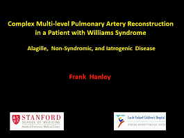 Pulmonary Artery Reconstruction for Williams Syndrome and Multilevel Branch PA Stenosis Pulmonary Artery Reconstruction for Williams Syndrome and Multilevel Branch PA Stenosis
