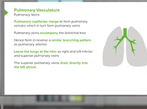 Pulmonary Vasculature - Respiratory Medicine Pulmonary Vasculature - Respiratory Medicine