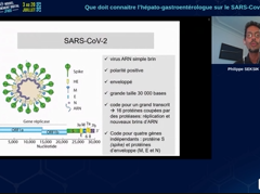Que doit connaître l'hépato-gastroentérologue sur le SARS-Cov2/COVID-19 Que doit connaître l'hépato-gastroentérologue sur le SARS-Cov2/COVID-19