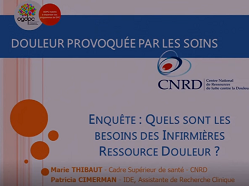 Quels sont les besoins des Infirmières Ressource Douleur (IRD) ?
