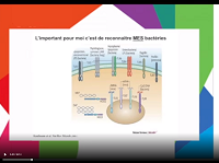Récemment diagnostiqué : les idées reçues sur la maladie Récemment diagnostiqué : les idées reçues sur la maladie