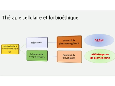 Régénération Tissulaire PRP-GRAISSE Régénération Tissulaire PRP-GRAISSE