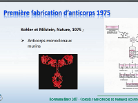 Révolution de l'immunothérapie