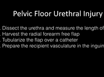 Radial Forearm Free Flap Substitution Urethroplasty