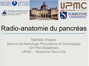 Radio-anatomie du pancréas