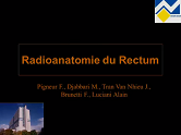 Radio-anatomie du rectum