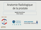 Radio-anatomie prostatique