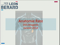 Radioanatomie de la rate