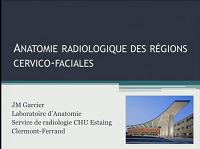 Radioanatomie des régions cervico-faciales