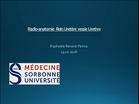 Radioanatomie du rétropéritoine médian