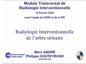 Radiologie interventionnelle de l'arbre urinaire Radiologie interventionnelle de l'arbre urinaire