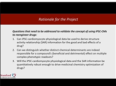 Re-introducing the Patient Context into Cardiac Drug Discovery Using iPSCs