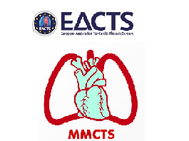Reconstruction of fibrous skeleton: technique, pitfalls and results