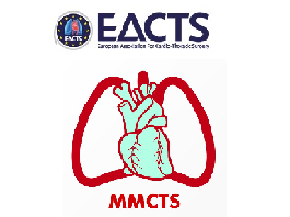 Reconstruction of regurgitant bicuspid aortic valve (Sievers type 1, L/R, I)