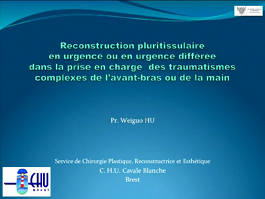 Reconstruction pluri-tissulaire en urgence ou en urgence différée dans la prise en charge des traumatismes complexes de l'avant-bras ou de la main
