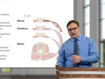 Rectus Sheath (continued) - Anatomy Rectus Sheath (continued) - Anatomy