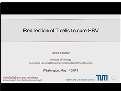 Redirection of T cells against HBV-infected cells