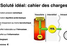 Remplissage vasculaire