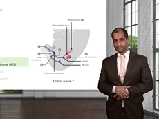 Renal Patho-Embryology  Renal Pathology Renal Patho-Embryology  Renal Pathology
