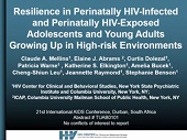 Resilience in perinatally HIV-infected and perinatally HIV-exposed adolescents and young adults growing up in high-risk environments Resilience in perinatally HIV-infected and perinatally HIV-exposed adolescents and young adults growing up in high-risk environments