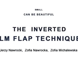Rétine, Corps Vitreux - Le petit peut être beau : Mise à jour de la technique ILM Flap inversée