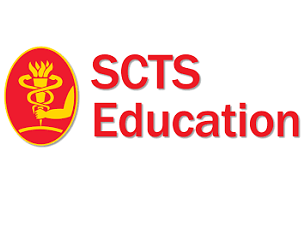 Revascularisation completeness discussion