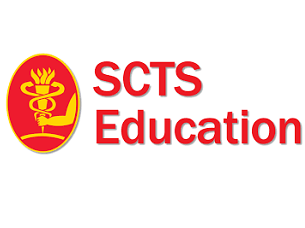 Revascularisation completeness summary