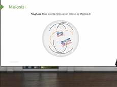Review of Reproductive Cell Division: Meiosis