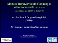 RI Rénale : embolisation rénale RI Rénale : embolisation rénale