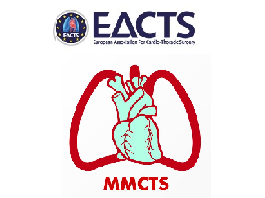 Robot-assisted mitral valve repair