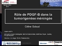 Role de PDGF-B dans la tumorigénese meningée