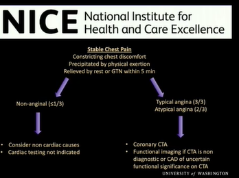 Role of Cardiac CT for Evaluation of Stable Coronary Artery Disease