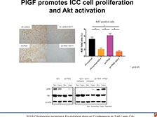 Role of PIGF Nrp1 Pathway in Intrahepatic CCA... (D2P22) Role of PIGF Nrp1 Pathway in Intrahepatic CCA... (D2P22)