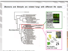 Séminaire - Marc Henri Lebrun - 06/03/2020