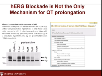 Safety First: The Role of Professionals in Ensuring Safe Drug and Devices