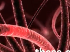 Sangamo and Biogen's Gene Regulation Therapy to Fight Alzheimer's