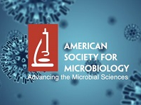 Scientists synthesize a recoded E. coli genome