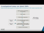 Selective Targeting of Mutant Huntingtin Using Stereopure Oligonucleotides Selective Targeting of Mutant Huntingtin Using Stereopure Oligonucleotides