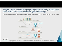 Selective Targeting of Mutant Huntingtin Using Stereopure Oligonucleotides