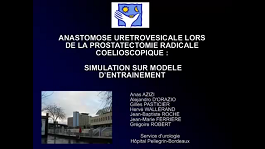 Simulation d'anastomose urétro vésicale laparoscopique sur modèle d'entrainement - Congrès AFU 2008